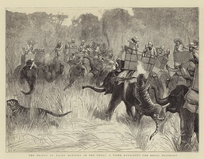 威尔士亲王在Terai狩猎，一只老虎攻击皇家大象 作者 塞缪尔·埃德蒙·沃勒